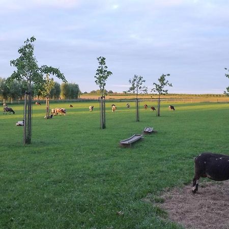 De Nachtdijk Bed and Breakfast Wijk bij Duurstede Buitenkant foto