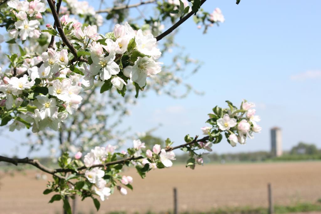 De Nachtdijk Bed and Breakfast Wijk bij Duurstede Buitenkant foto